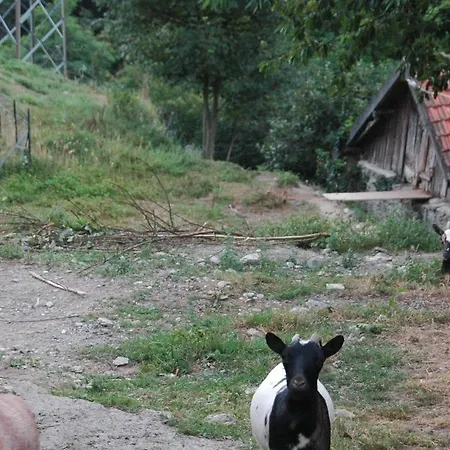 Frühstückspension Al Turchino E Area Picnic Mele