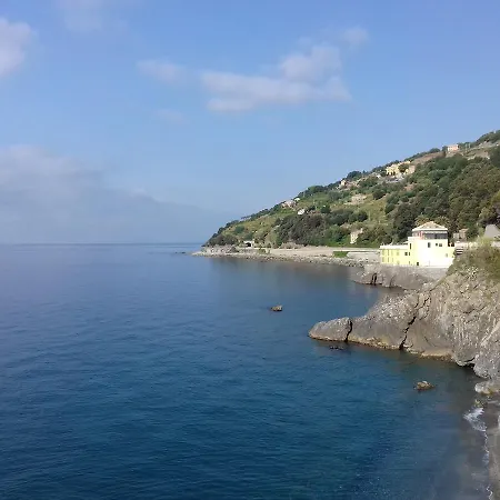 Al Turchino E Area Picnic